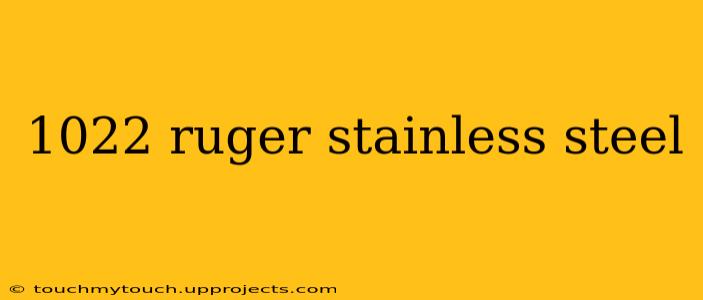 1022 ruger stainless steel