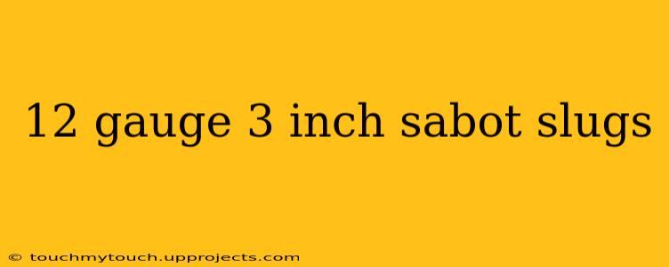 12 gauge 3 inch sabot slugs