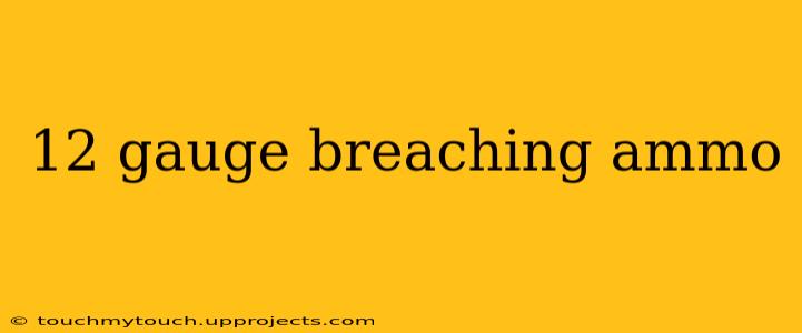 12 gauge breaching ammo