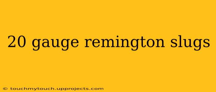 20 gauge remington slugs