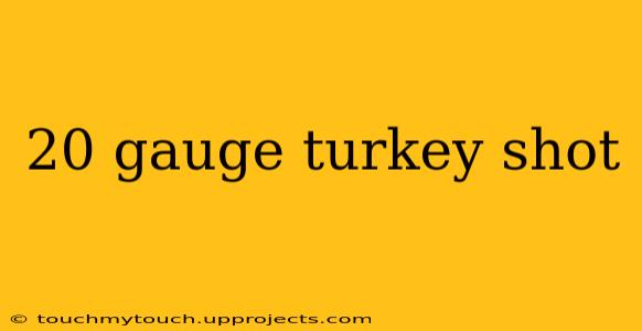 20 gauge turkey shot