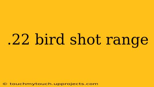 .22 bird shot range