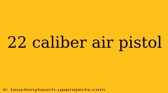 22 caliber air pistol