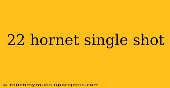 22 hornet single shot