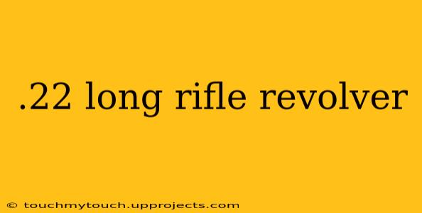 .22 long rifle revolver