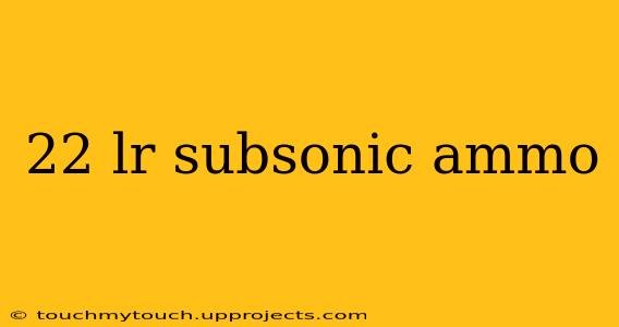22 lr subsonic ammo