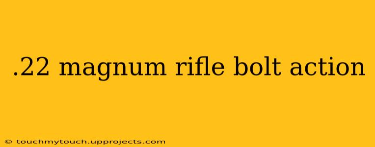 .22 magnum rifle bolt action