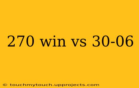 270 win vs 30-06