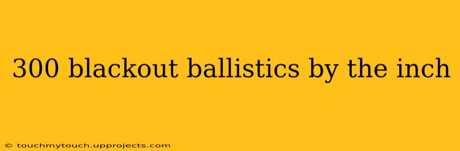 300 blackout ballistics by the inch