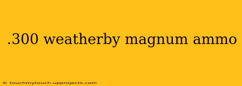 .300 weatherby magnum ammo