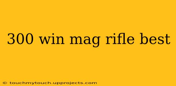 300 win mag rifle best