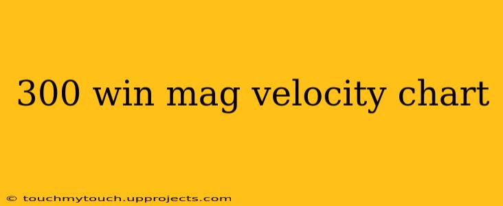 300 win mag velocity chart