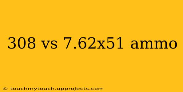 308 vs 7.62x51 ammo