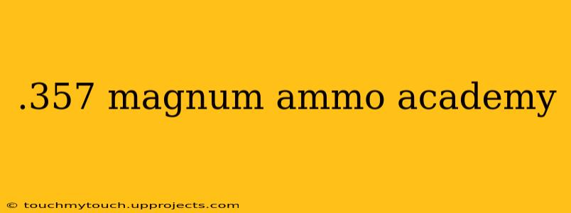 .357 magnum ammo academy