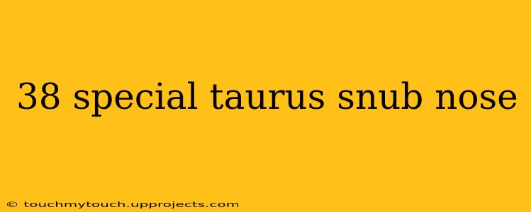 38 special taurus snub nose