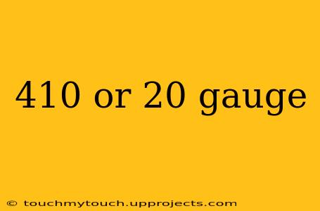 410 or 20 gauge