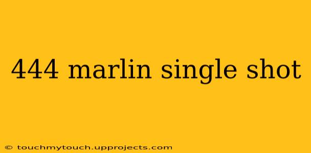 444 marlin single shot