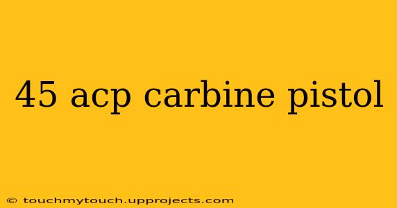 45 acp carbine pistol