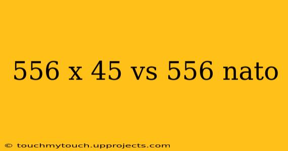 556 x 45 vs 556 nato