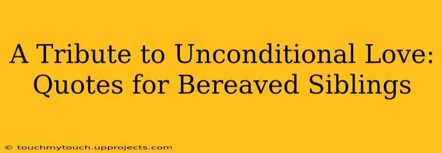 A Tribute to Unconditional Love: Quotes for Bereaved Siblings