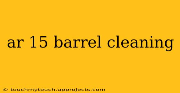 ar 15 barrel cleaning