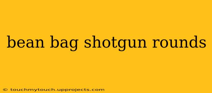 bean bag shotgun rounds