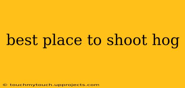 best place to shoot hog