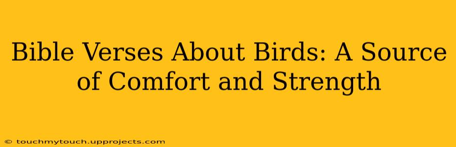 Bible Verses About Birds: A Source of Comfort and Strength