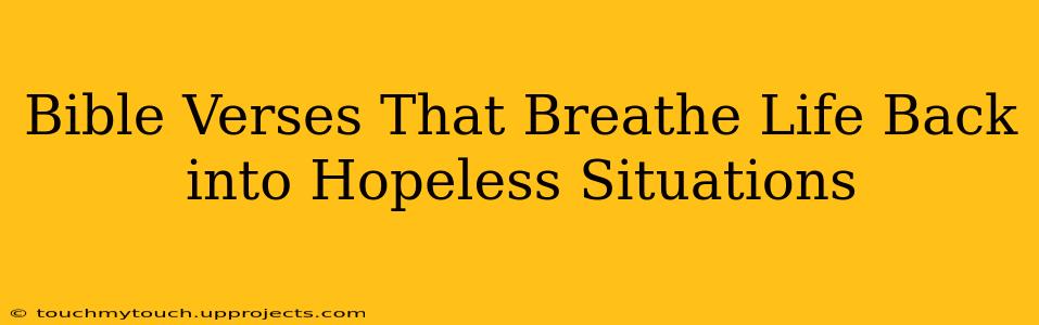 Bible Verses That Breathe Life Back into Hopeless Situations