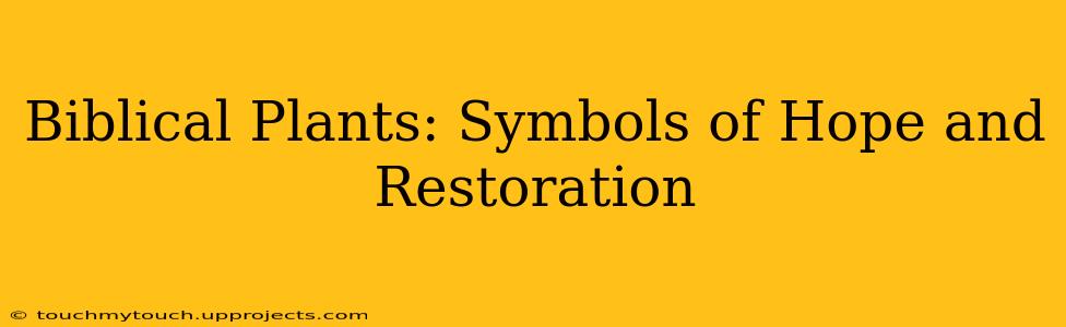 Biblical Plants: Symbols of Hope and Restoration