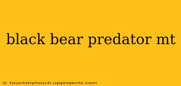 black bear predator mt