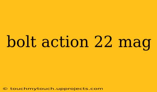 bolt action 22 mag