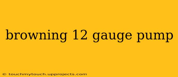 browning 12 gauge pump