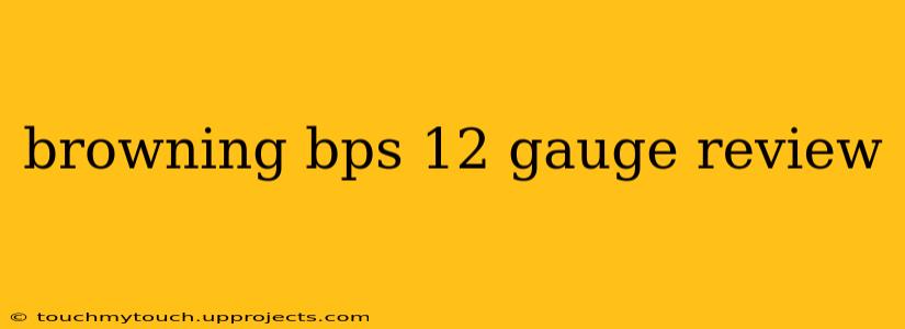 browning bps 12 gauge review