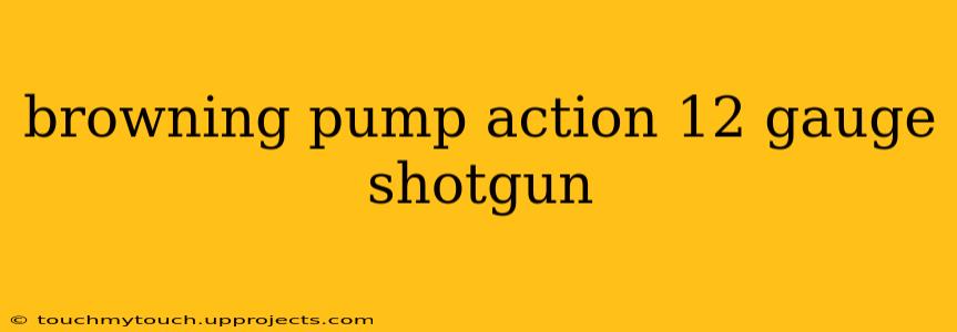 browning pump action 12 gauge shotgun