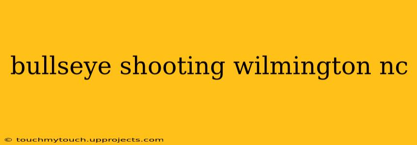 bullseye shooting wilmington nc