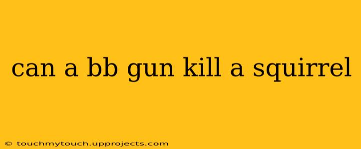 can a bb gun kill a squirrel