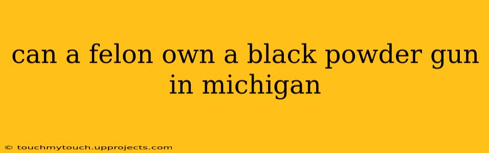 can a felon own a black powder gun in michigan