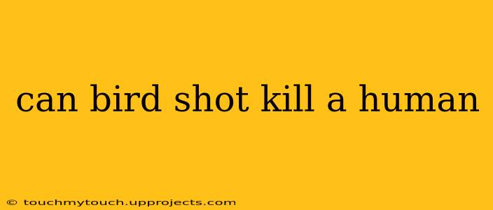 can bird shot kill a human