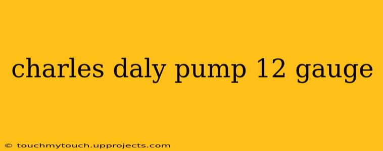 charles daly pump 12 gauge