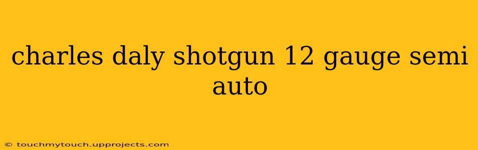 charles daly shotgun 12 gauge semi auto