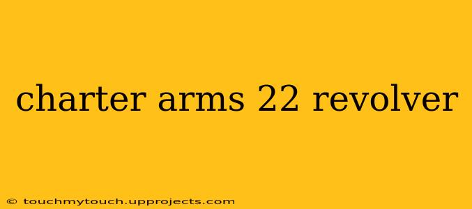 charter arms 22 revolver