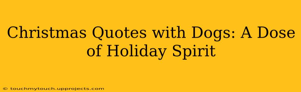 Christmas Quotes with Dogs: A Dose of Holiday Spirit