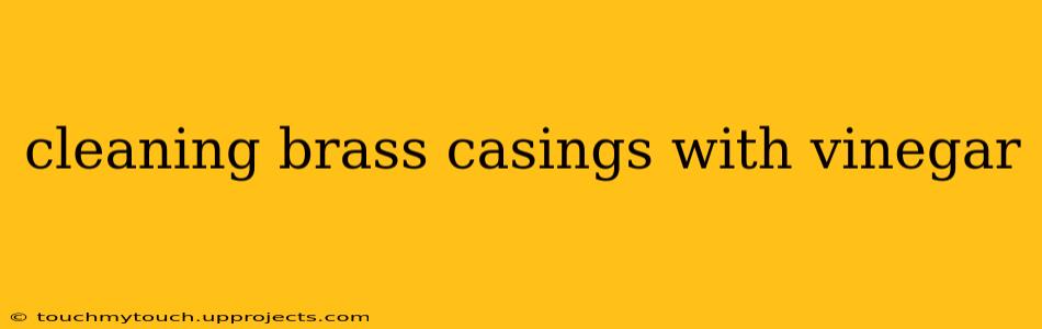 cleaning brass casings with vinegar