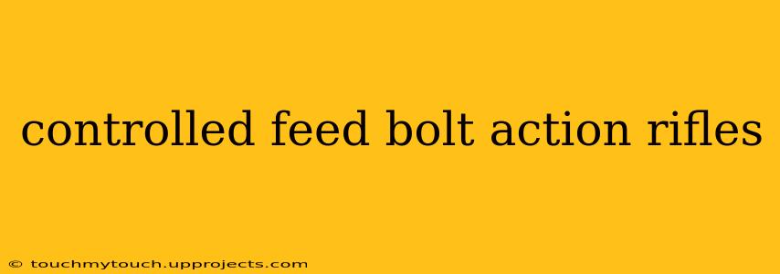 controlled feed bolt action rifles
