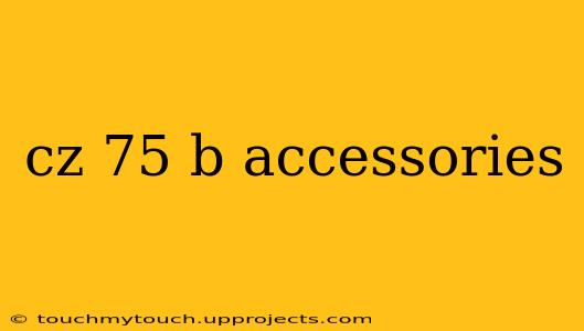 cz 75 b accessories