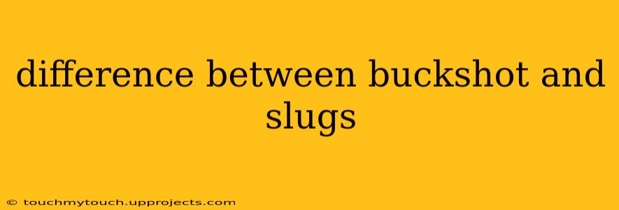 difference between buckshot and slugs