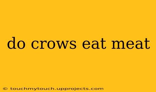 do crows eat meat