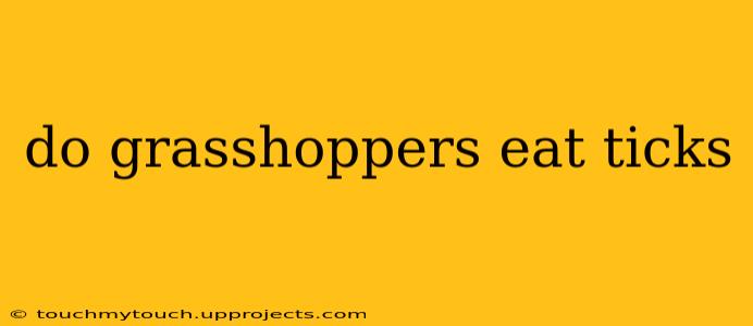 do grasshoppers eat ticks
