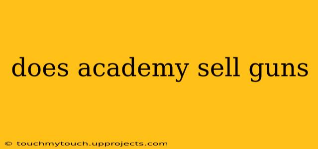 does academy sell guns